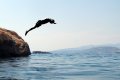 Βουτιά από βράχο, Νησίδα Μαρκέλλου, Σαρωνίδα, Αττική