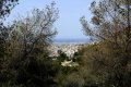 Σπίτια που ξεπροβάλουν μέσα από το δάσος, Ηλιούπολη, Αττική