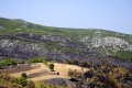 Ωρωπός, Κάλαμος μετά τη φωτιά του Αυγούστου 2017, Αττική