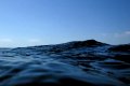 Στην επιφάνεια της θάλασσας και λίγο πιο κάτω, Βάρκιζα, Αττική