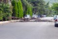 Δέντρο πάνω στο δρόμο, Δροσιά, Αττική